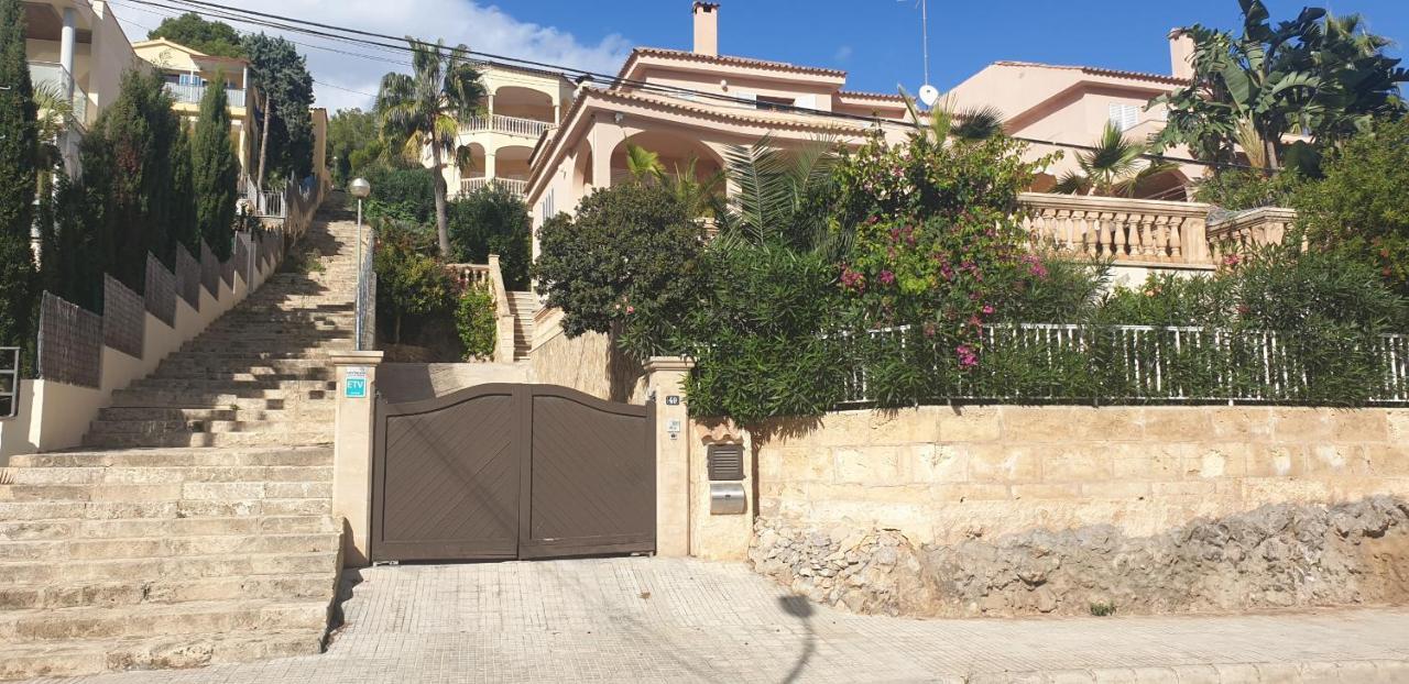 Cami De Aucanada * Alcudia (Mallorca)
